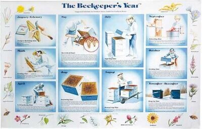 POSTERS