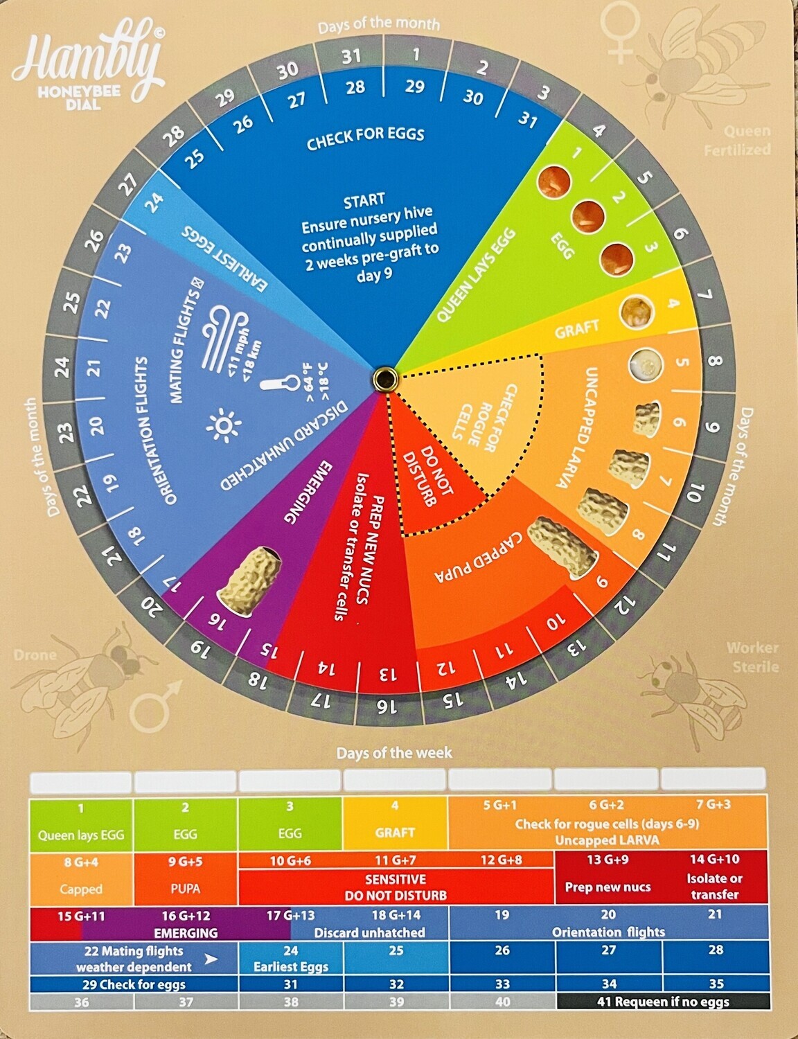 Honey Bee Queen Dial