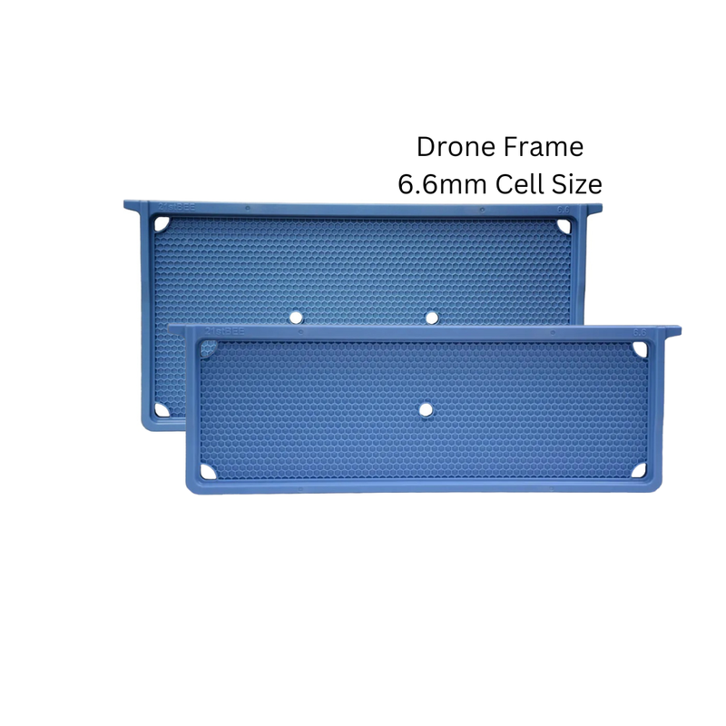 21st Bee: Drone Frames