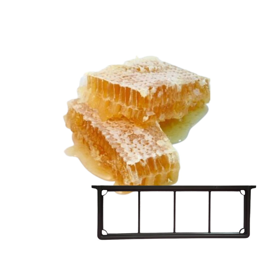 Foundationless Comb Honey Frames by 21st Bee