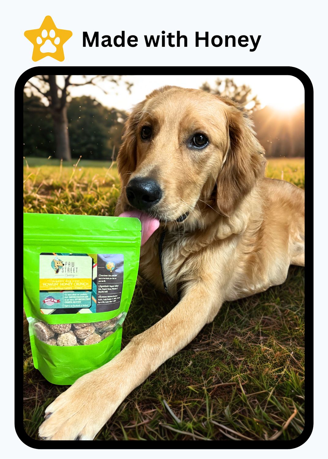 Howlin&#39; Honey Crunch Dog Treats