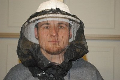 Sheer Nylon Veil
