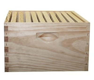 HIVE KITS &amp; COMPONENTS 10-Frame