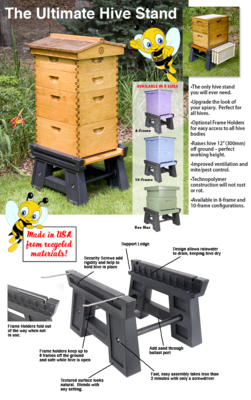 HIVE STANDS