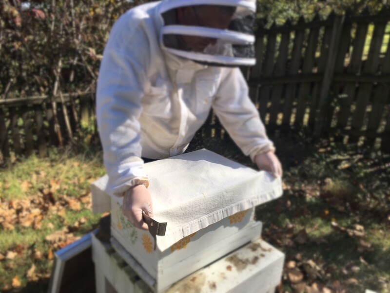 Beehive Inspection Cloths