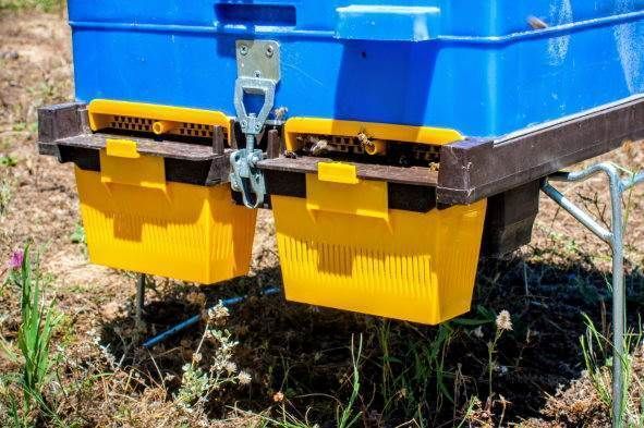 Anel Small Entrance Pollen Traps