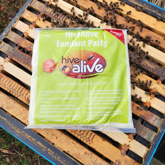 HiveAlive Fondant Patties Case of 15