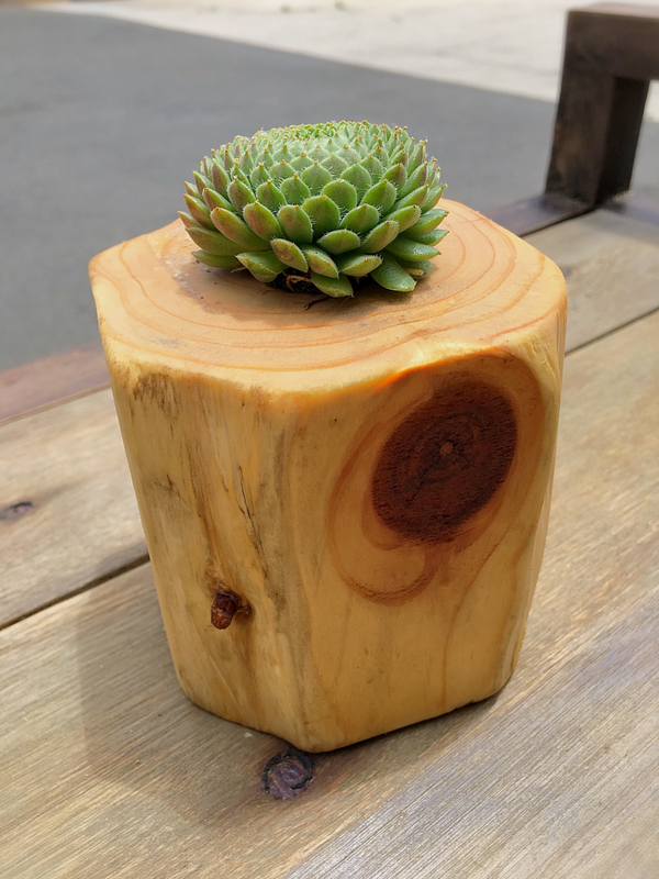Birch Box