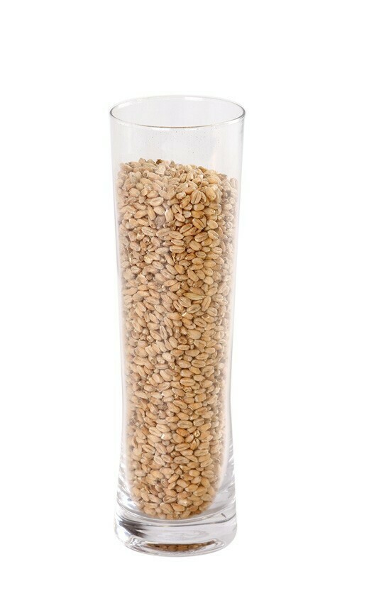 IREKS Pšenični TAMNI Slad (WHEAT MALT DARK) (EBC 14 - 18), 1 kg