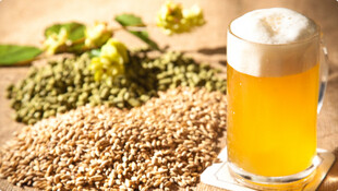 BrewshopBG- sve potrebne sirovine za proizvodnju piva – od pažljivo odabranog hmelja, slada, do pouzdanog pivskog kvasca