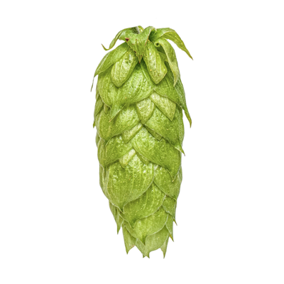 Nelson Sauvin hmelj T90  - NZ Hops, 0,1 kg -  1 kom