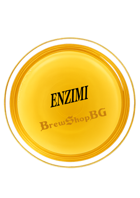 ENZIMI