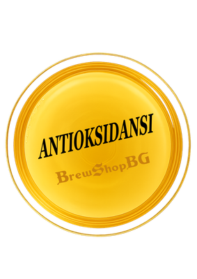 ANTIOKSIDANSI