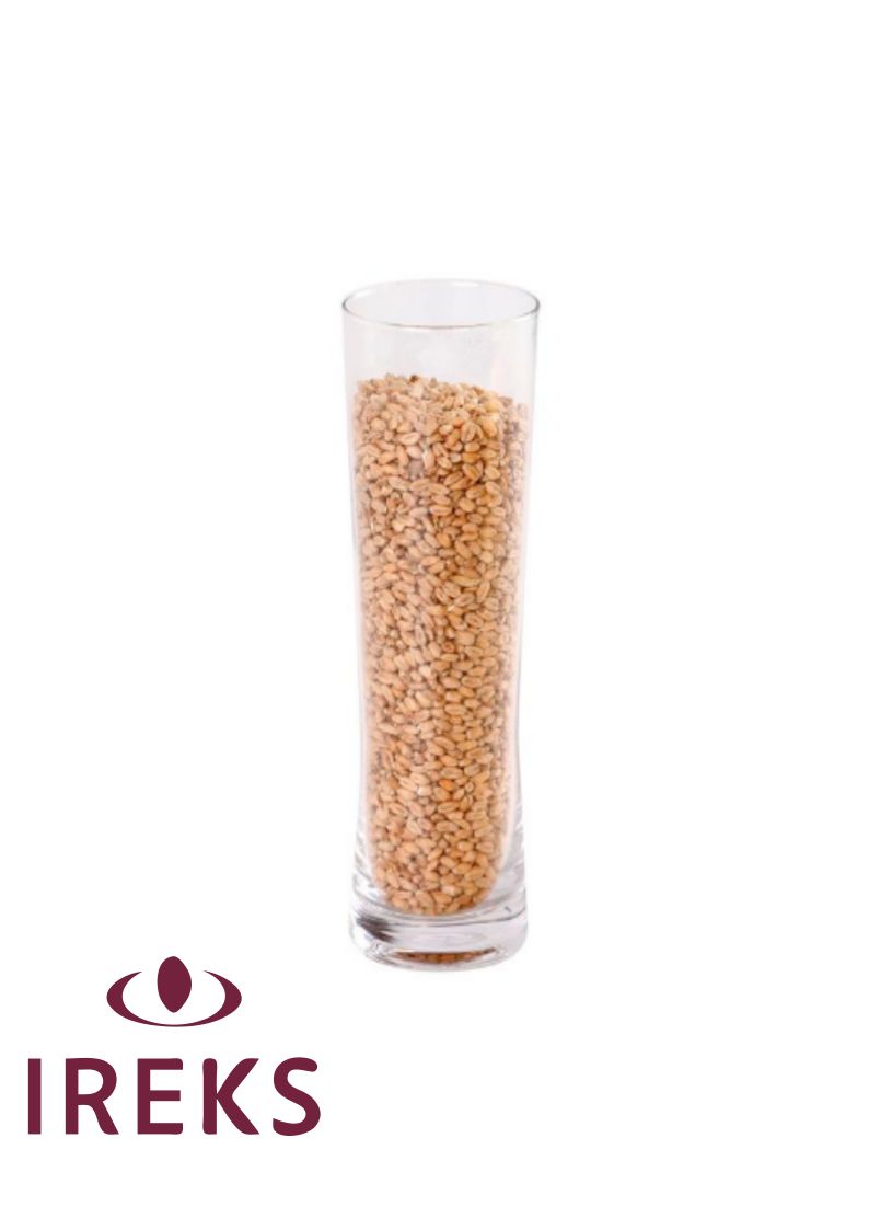 IREKS Pšenični TAMNI Slad (WHEAT MALT DARK) (EBC 14 - 18), 1 kg