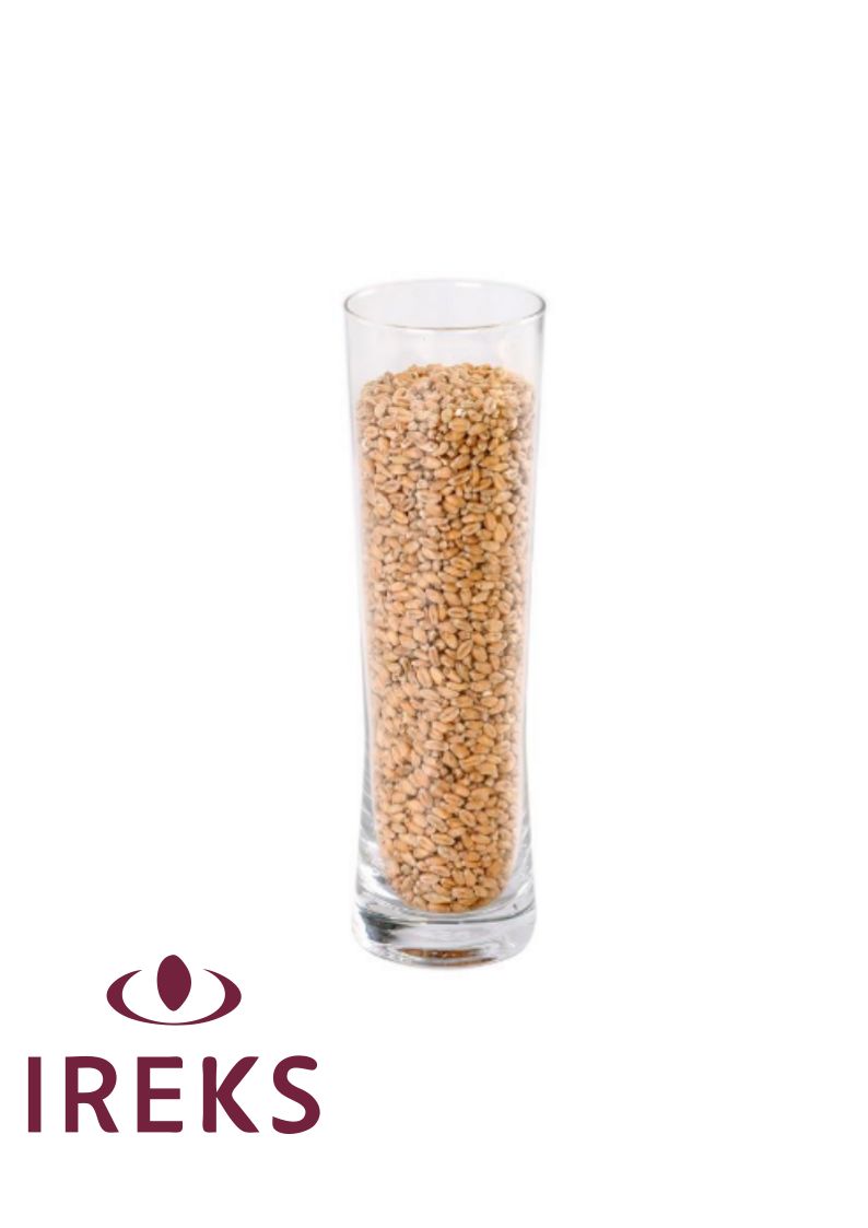IREKS Pšenični Svetli Slad (WHEAT MALT LIGHT) (EBC 3 - 5), 1 kg