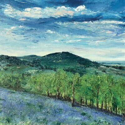 Bluebells on the Hills by Anna Cumming