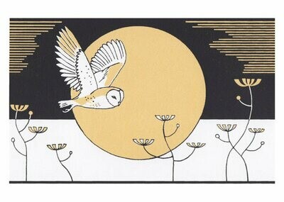Catherine Bowdler - Barn owl and moon
