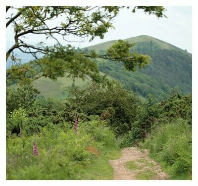 View from the Beacon, Malvern