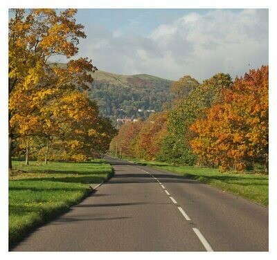 Autumn in Malvern