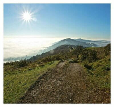 Winter sun over the Malverns