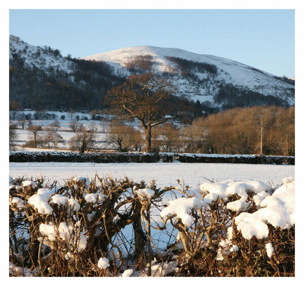 Winter on the Hills. Malvern