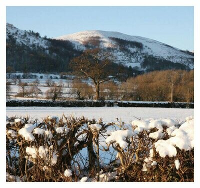 Winter on the Hills. Malvern