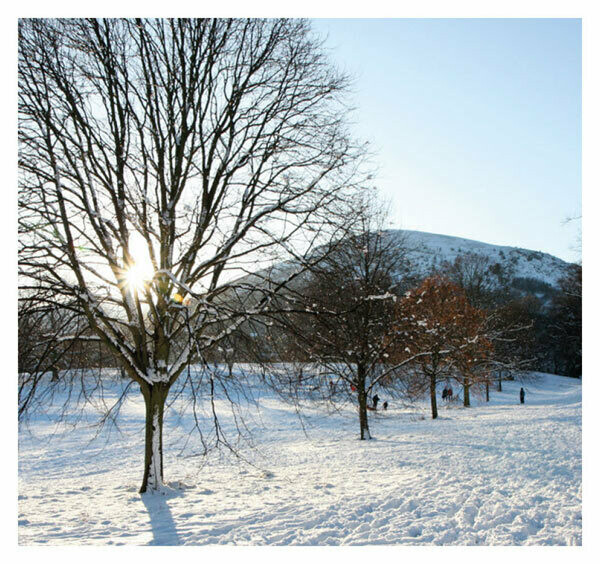 Winter on Malvern Link Common