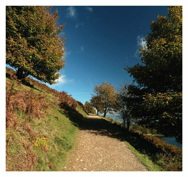 Summer on  British Camp, Malvern