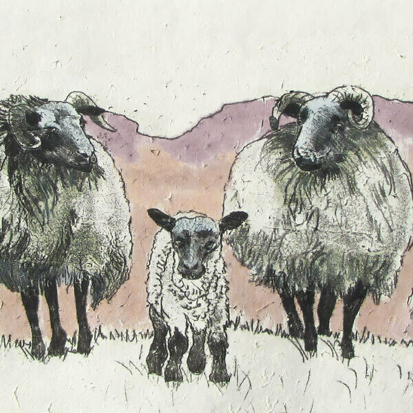 Annabel Langrish - Sheep