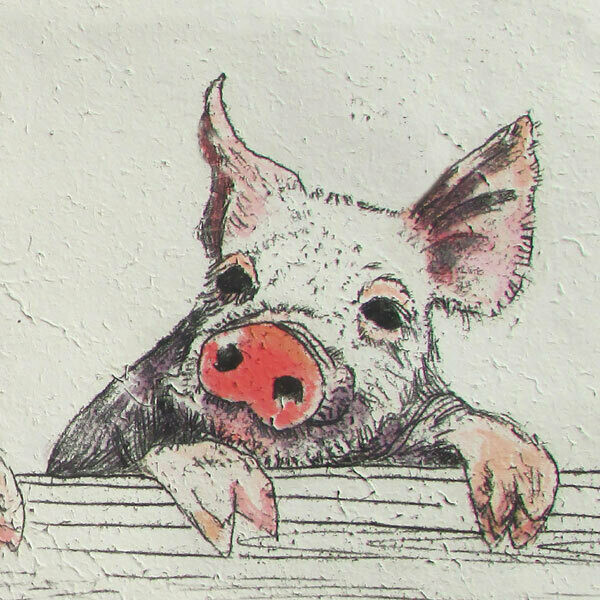 Annabel Langrish - Pig