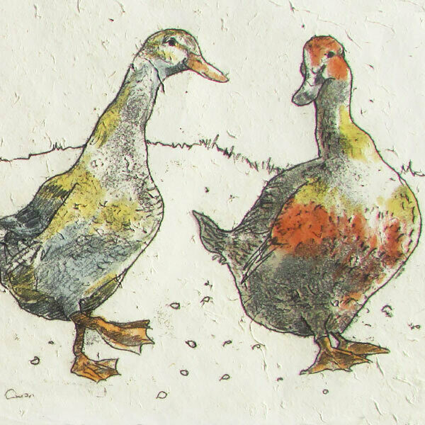 Annabel Langrish - Ducks