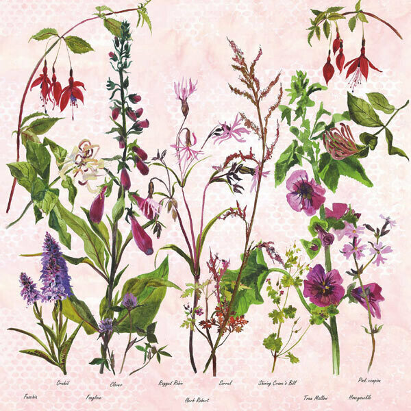 Purple and Fuchsias by Annabel Langrish