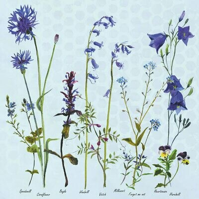 Cornflowers and Bluebells by Annabel Langrish