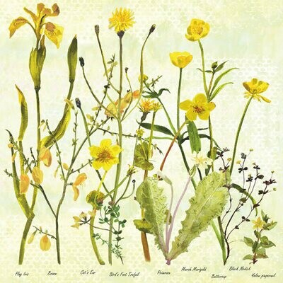 Marigolds and Irises by Annabel Langrish
