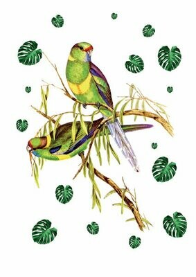 2 green parrots