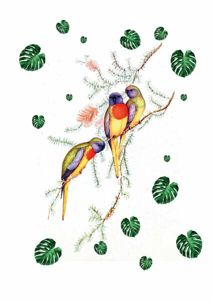3 multi coloured parrots