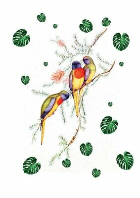3 multi coloured parrots