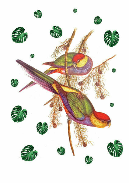 2 red headed parrots