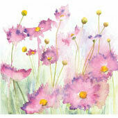 Penny Silverthorne - MINI CARDS