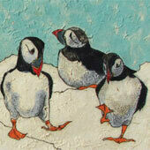 birds