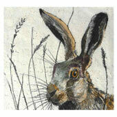 hares