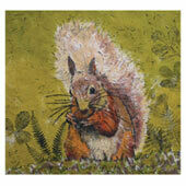 squirrels
