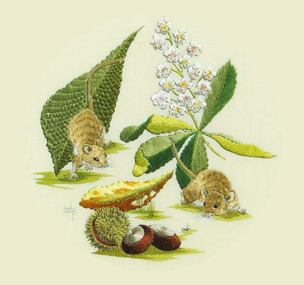 Helen M Stevens - Mice &amp; Conkers