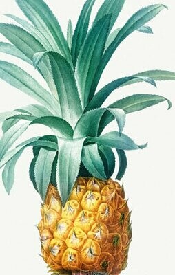 Say it with Flowers - Pineapple