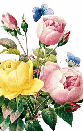 Say it with Flowers - Roses