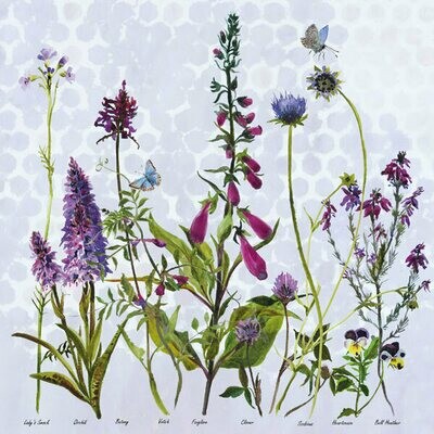 Purple flowers by Annabel Langrish