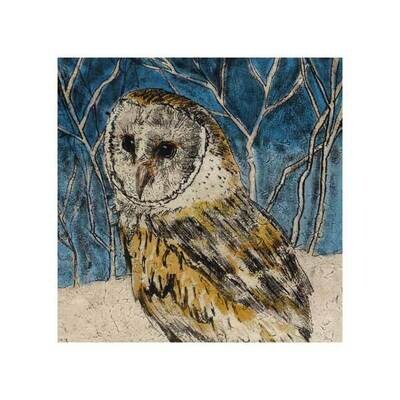 Owl in the Night by Annabel Langrish