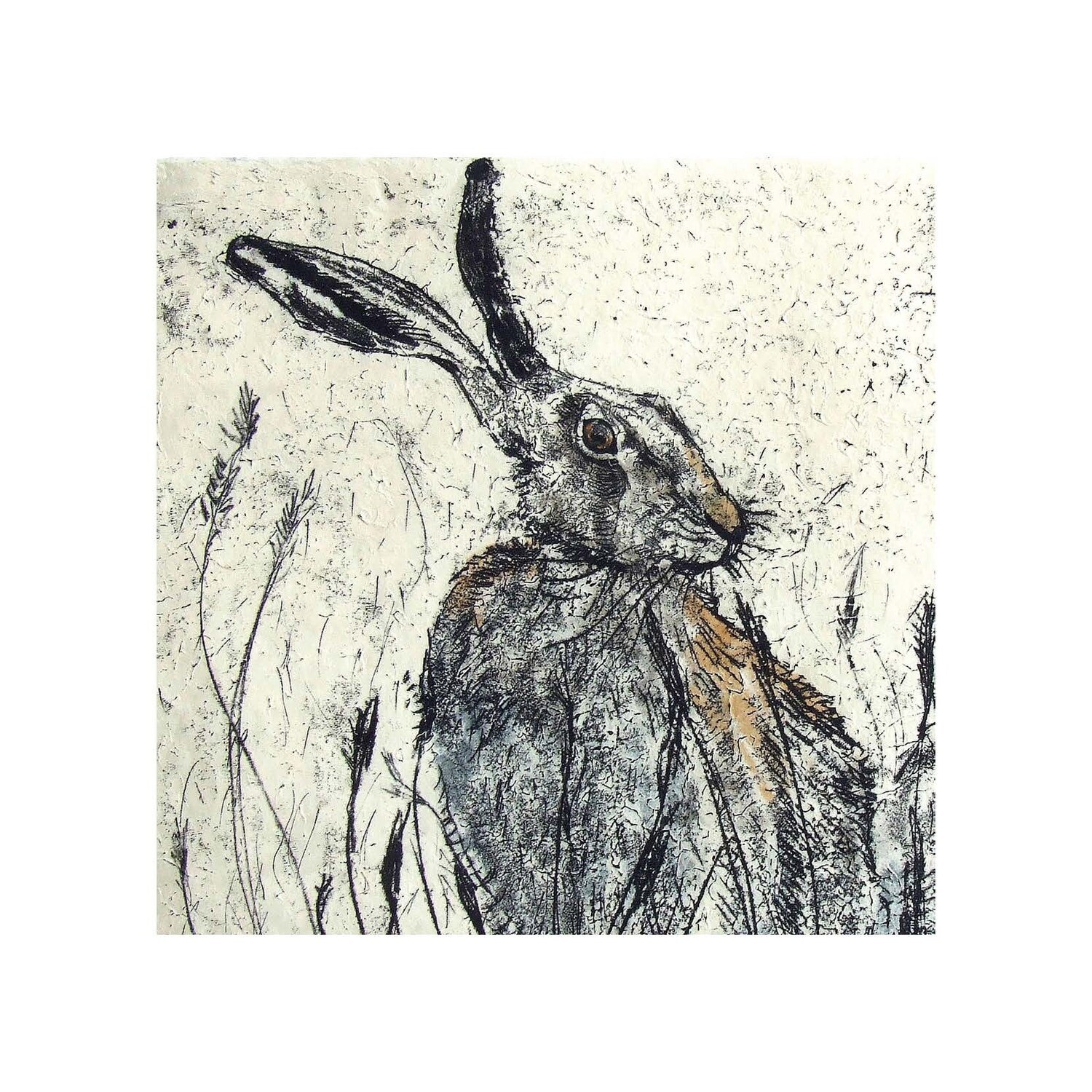 Hare by Annabel Langrish