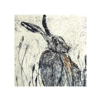 Hare by Annabel Langrish