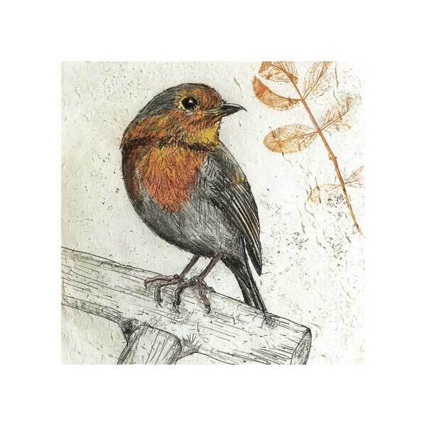 Robin by Annabel Langrish